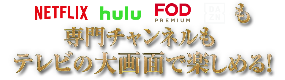 NETFLIX hulu FODプレミアム DAZN も 専門チャンネルもテレビの大画面で楽しめる！